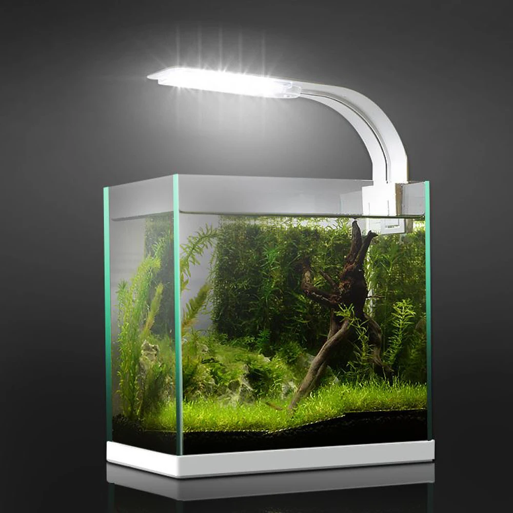   LED   Ĺ     ũ Ʈ, ũƼ Ŭ  EU ÷