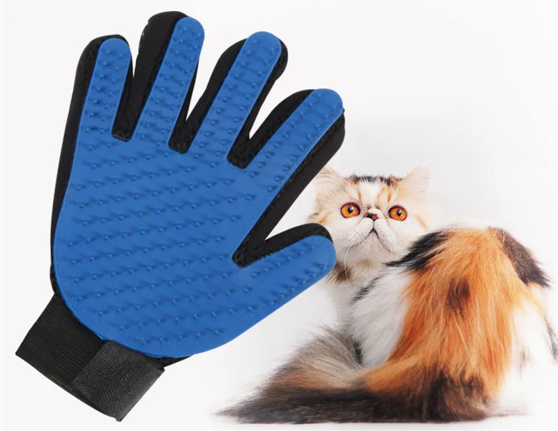 8933414893_1771561887