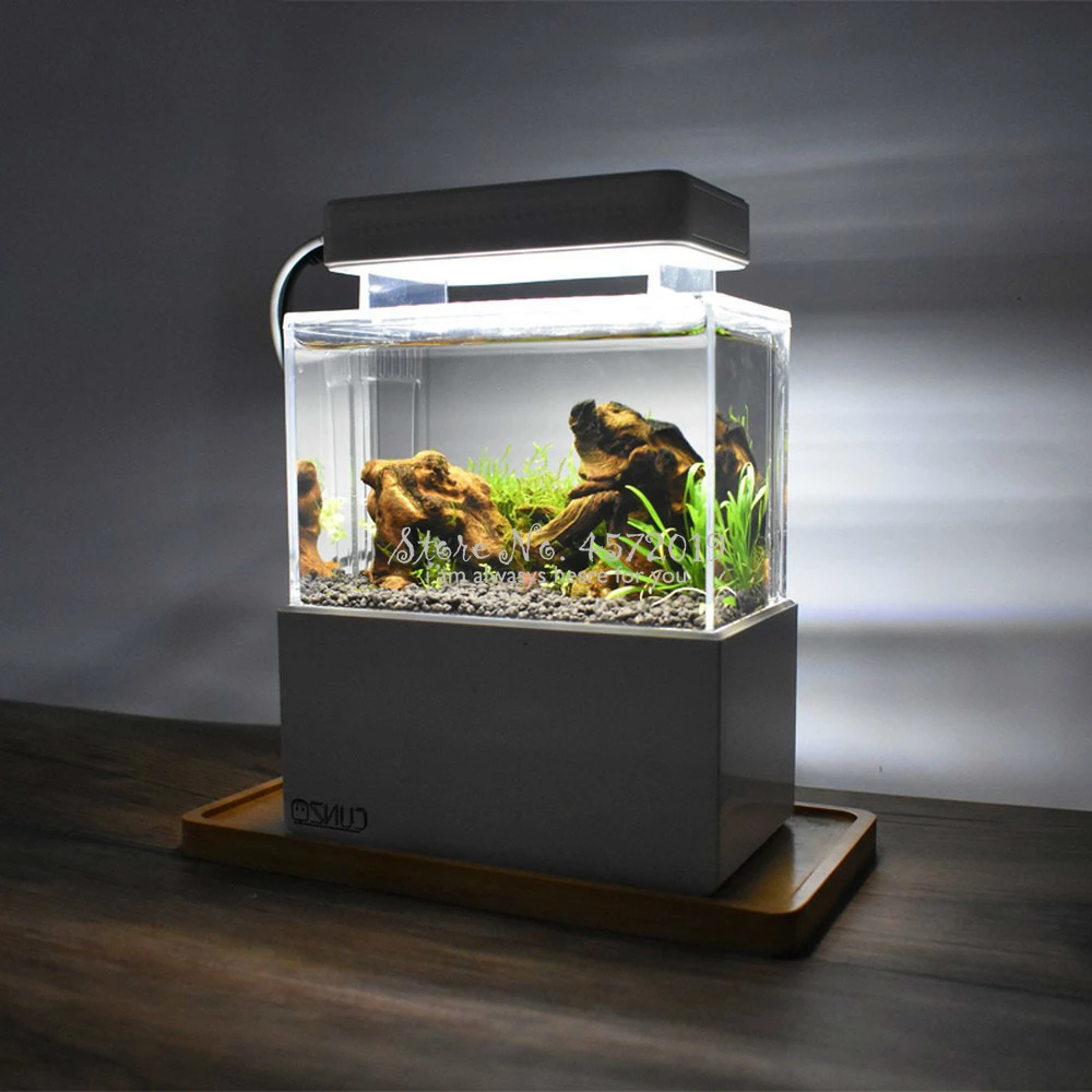 plastic fish aquarium