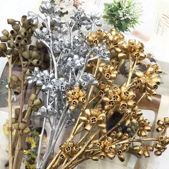 

Eternal Flower Eucalyptus Fruit Zombie Fruit Dried Fruit Material DIY Valentine's Day Glass Cover Gift Box Accessories