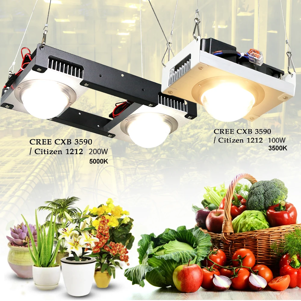 CREE CXB3590 светодиодный Grow светильник полный спектр 100 Вт 200 3000K 3500K 5000K Citizen 1212 для