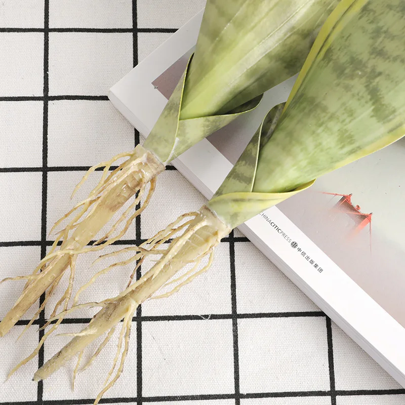 HTB1iHeFXHr1gK0jSZR0q6zP8XXan