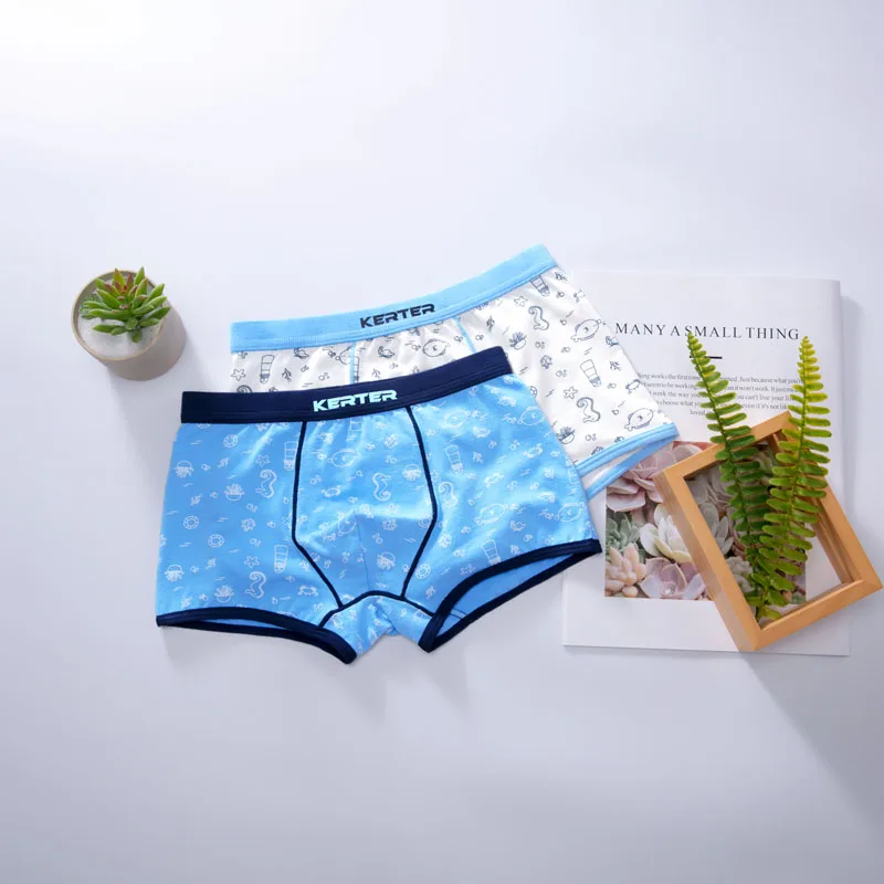 2pcs 01 Нижнее белье из органического хлопка для мальчиков, 2 шт./Партия Детские трусы с рисунком динозавра детские трусы-боксеры трусики для подростков От 2 до 16 лет - Цвет: 2pcs 01