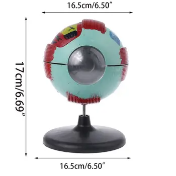 

6x Removable Human Eye Model Eyeball Internal Structure Learn Human Anatomical Model Lab Teaching Education for classroom teach