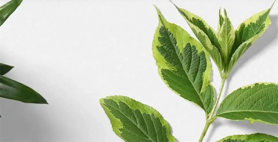 360截图20190806170433614