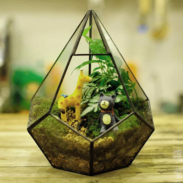 

Flower Pot Air Plant Planter Glass Box DIY Micro Landscape Glass Bottle Garden Polyhedron Glass Geometric Terrarium Bonsai