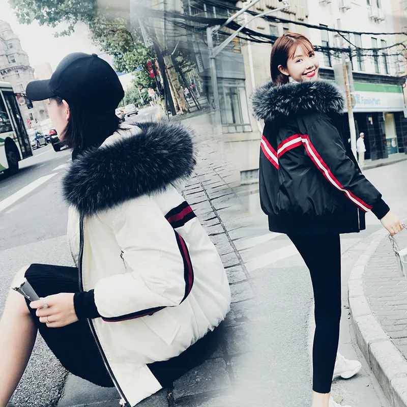

Photo Shoot New Style down Jacket Women's Casual Jacket Sports Flight Suit Cotton Overcoat