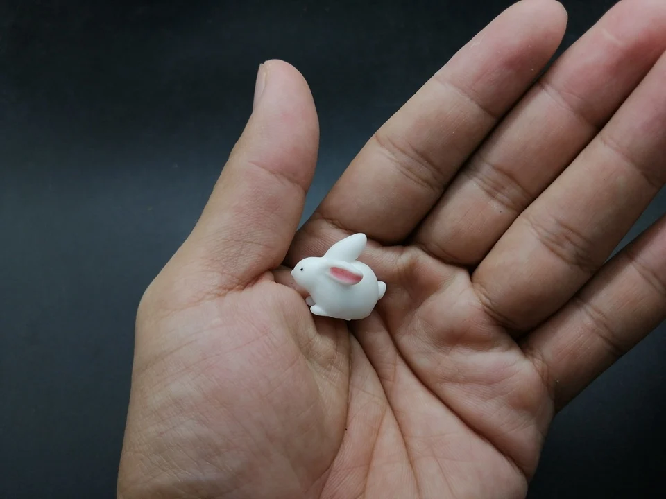 Tiny-A249 (6)