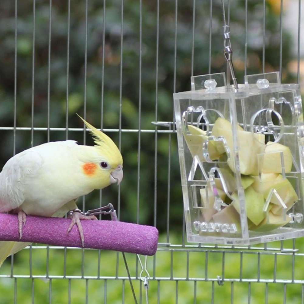 Коробка для кормления попугая смешная прозрачная акриловая Птица Попугай подвесной кормушка обучающая игрушка для попугая