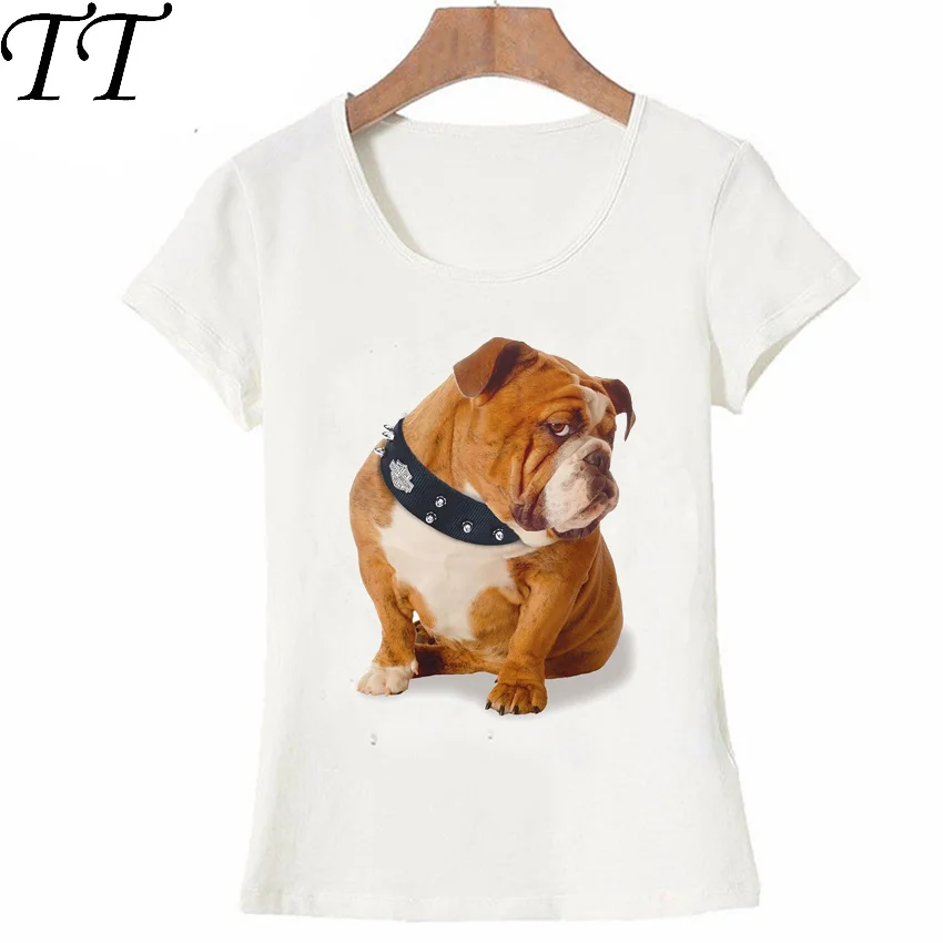 HTB1f3k6I29TBuNjy1zbq6xpepXar