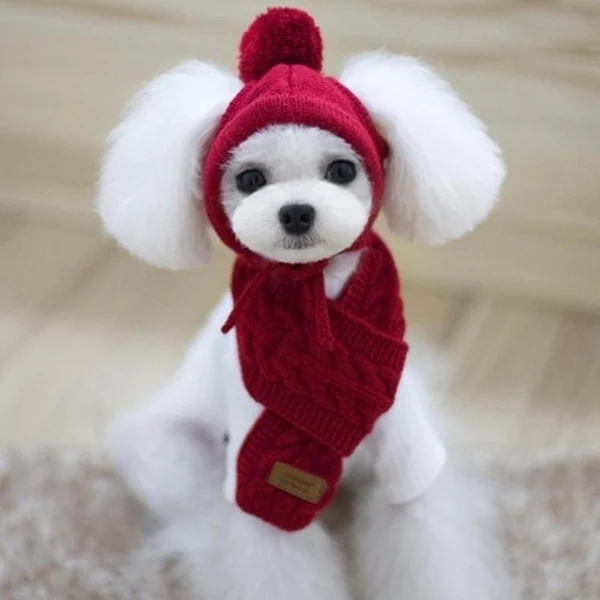 VickiYo 3 цвета щенок Тедди Рождественский костюм вязаная шапка+ шарф воротник зимний теплый шерсть одежда для собак