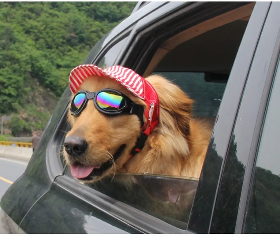Summer Dog Cat Baseball Cap Headdress Teddy Golden Retriever Large