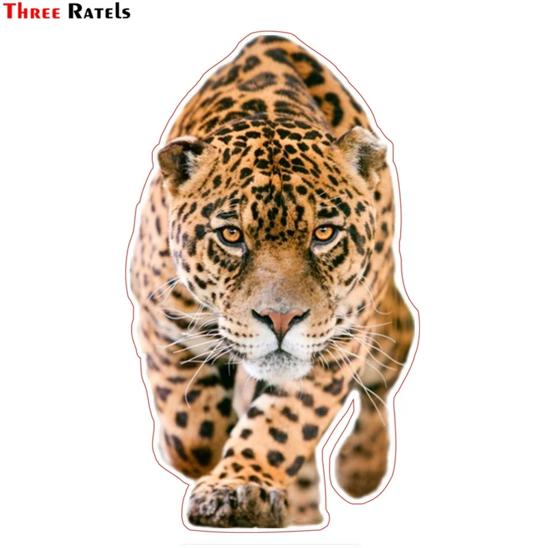 

Three Ratels TZ-1308# 22*12.9cm walking leopard car stickers funny car sticker auto decals