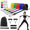 11Pcs/Set Latex Resistance Bands Crossfit Training Exercise Yoga Tubes Pull Rope Rubber Expander Elastic Bands Fitness Equipment ► Photo 1/6