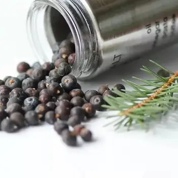 

100% Natural Dried Whole Juniper Berries Brewing Botanical and Traditional Spice Bulk