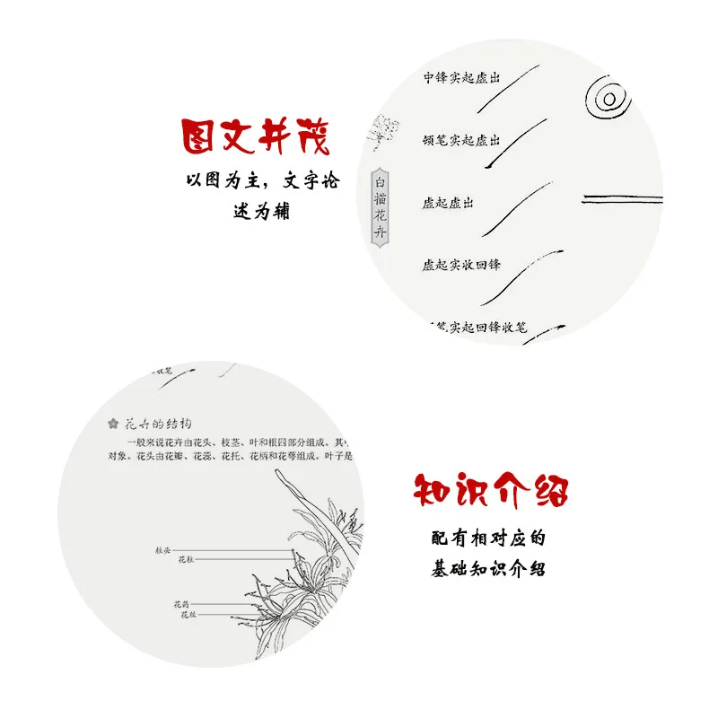 Оригинальные чернила Изобразительное искусство традиционная китайская живопись начинающая линия рисунок Huapu линия рисунок цветок Huapu полный набор подлинные книги a