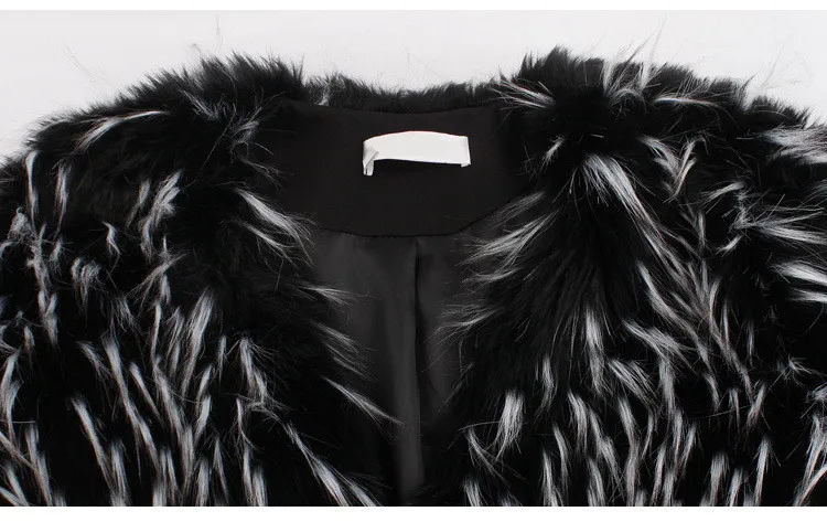 3529581995_356369813