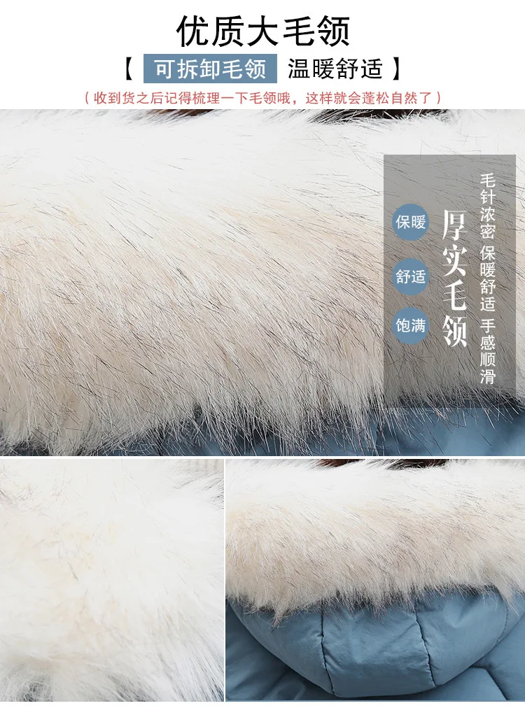Cotton_04.jpg