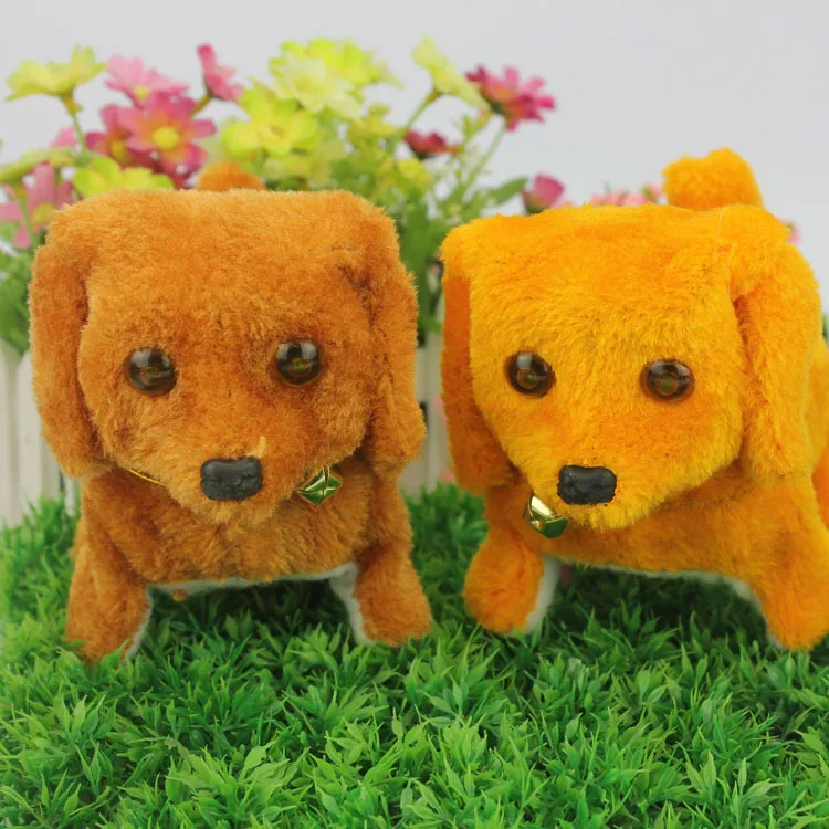 2099224868_1651787607