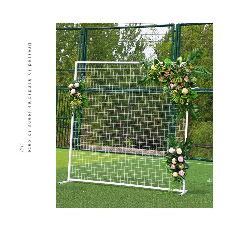 HTB1d6_gaoD1gK0jSZFGq6zd3FXaN