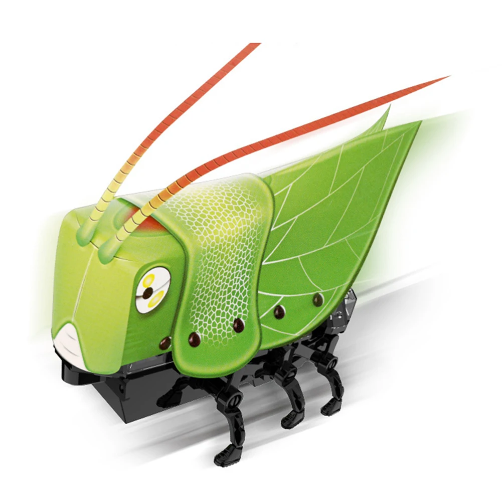 DIY Electric Walking Mantis Insect Sound Light Assembly Model Education Kids Toy