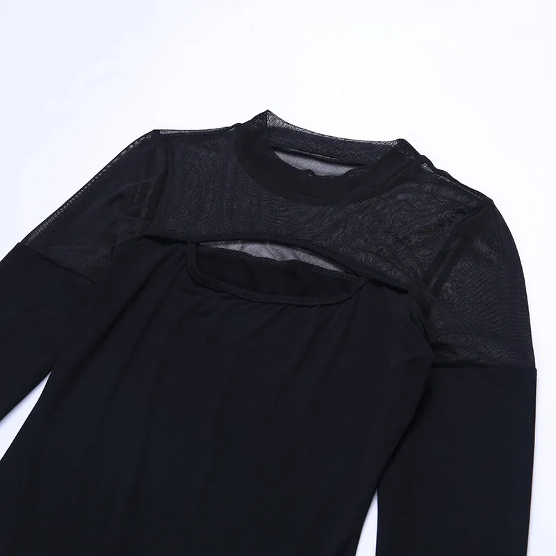 12320236089_1386157620