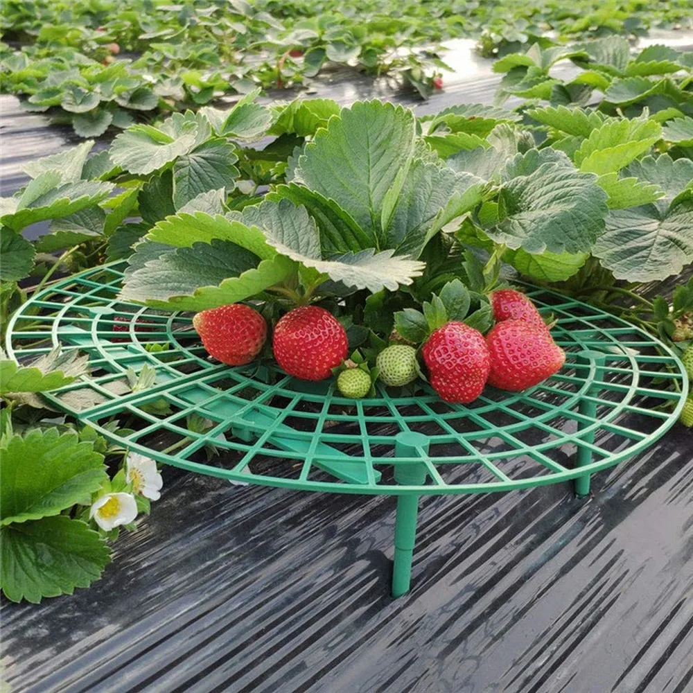 5/10/20 PCS Plant Support Strawberry Stand Frame Holder Balcony Planting Rack Fruit Support Plant Flower Climbing Vine Pillar