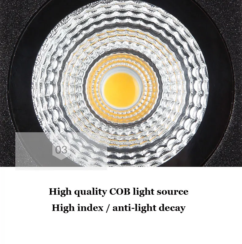 Adjustable outdoor wall light (12)