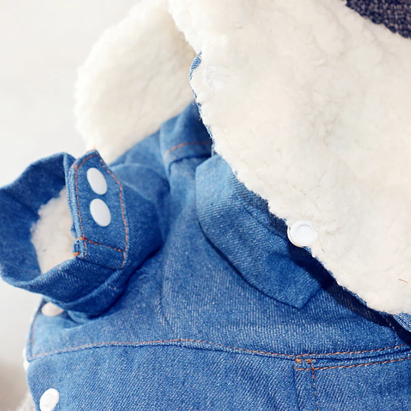 Роскошная зимняя куртка для собак Одежда для щенков костюм для животных джинсовая куртка для собак джинсовый костюм Чихуахуа пуделя домашний питомец породы Бишон одежда