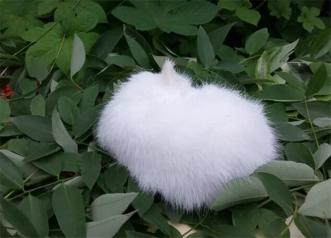 2279024265_1774471749