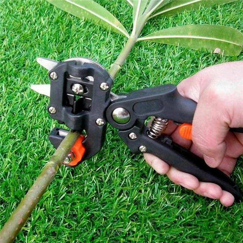 Grafting Pruner Garden Grafting Tool Professional Branch Cutter Secateur Pruning Plant Shears Boxes Fruit Tree Grafting Scissor shrub cutter