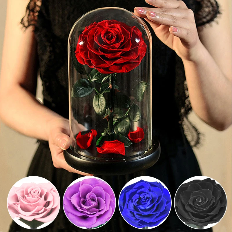 Eternal Rose Beauty And The Beast Rose Everlasting Artificial Flower Night Light In Glass Dome For Valentine Mothers Day Wedding Artificial Dried Flowers Aliexpress