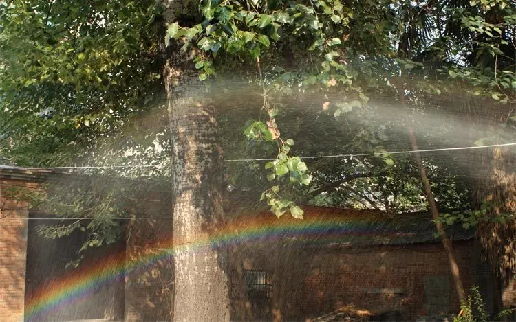 HTB1oaO4PpXXXXa3XFXXq6xXFXXXV