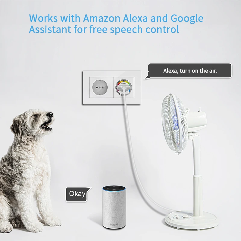 Tuya EU Wifi Smart Socket Plug 10A Outlet Power Monitor Timing Function Plug Compatible With Alexa Google Home Smartlife App