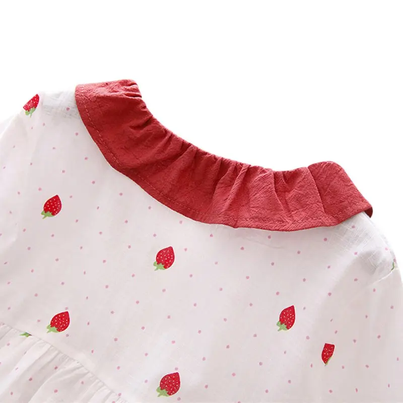 SZ2562 (12)