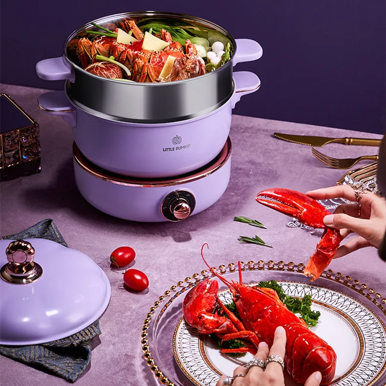 Small Electric Pot Multi-Functional Electric Cooker Household