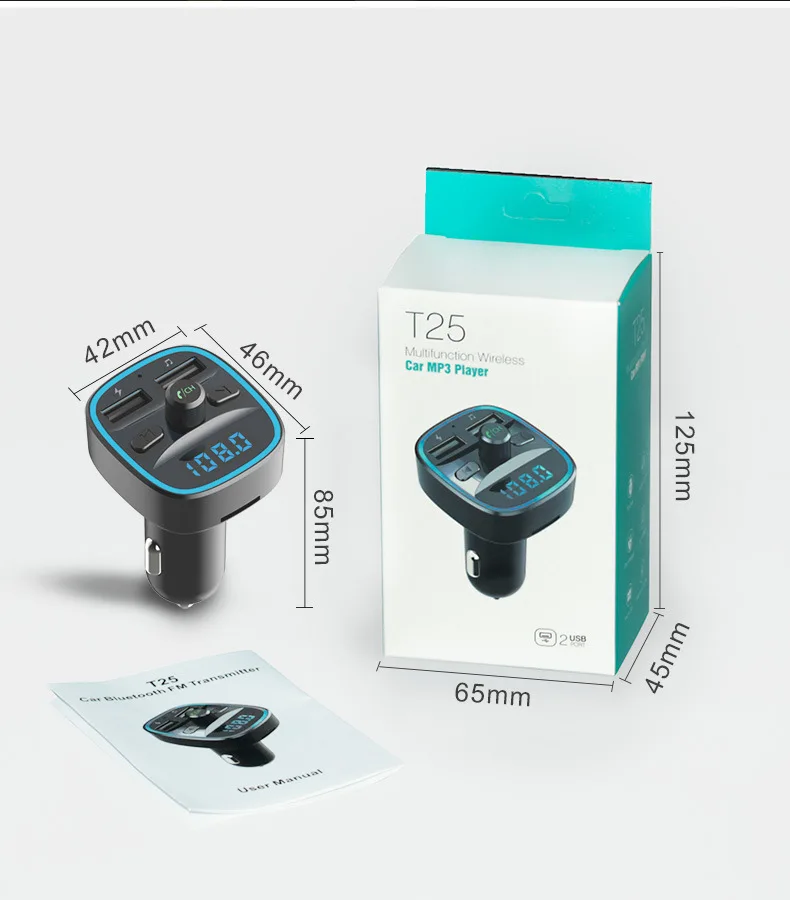 T25_08.jpg