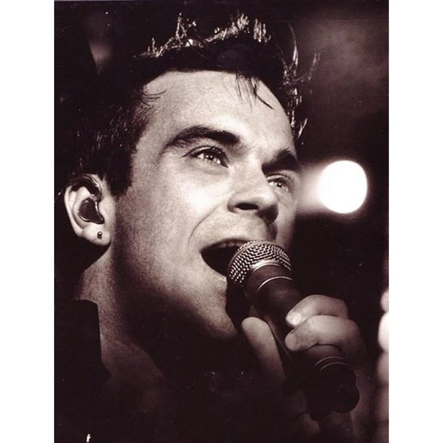 5d DIY Robbie Williams Picture diamond embroidery needlework 3d diamond painting cross stitch kit number Rhinestone home decor