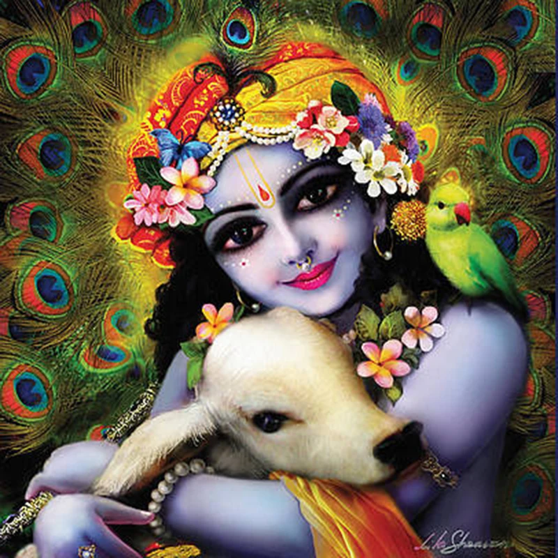 гопал кришна бог. кришна и баларама. кришна према. шарадия расаятра кришна. кришна какая.