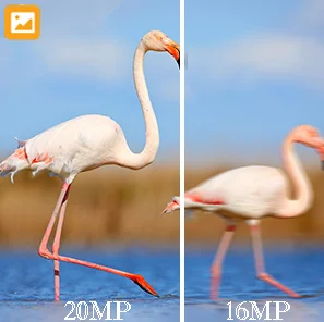 Description Picture 3 of itemHunting Camera Night Vision 1080P 20M Wildlife Trail Cameras Tracking  Infrared Hight Definition Wireless  Camera HC802A