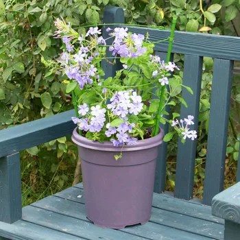 

Climbing Plant Support Cages Flowers Stand with 3 Adjustable Rings Sturdy for Garden XHC88