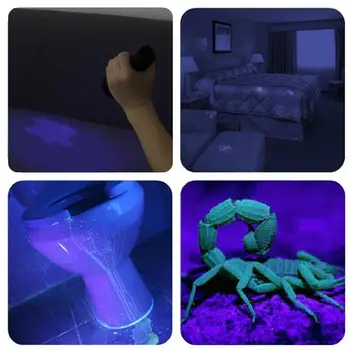 

Flashlight Torch Light Pet UV Urine Detector Home &Amp; Living Pet Stain Detector Money Detector 9-LED 1Pcs 1Pcs 9-LED