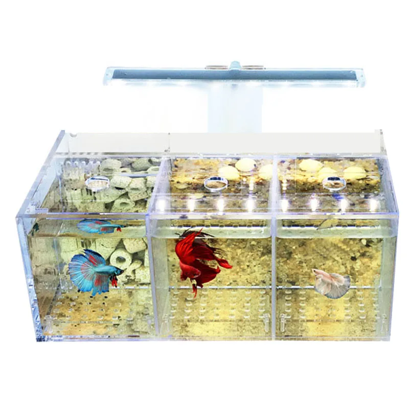 Акриловый изолированный аквариум Bettas, наклонный водяной насос для разведения, детский баллон Betta, светодиодный аквариум для разведения Гуппи