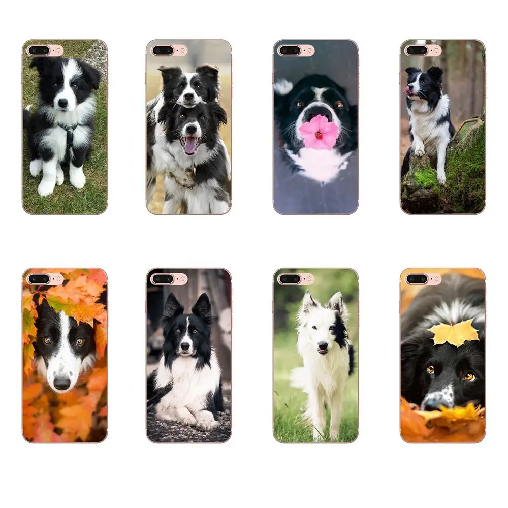 Border Collie Dog Breed Top Detailed Popular For Sony Xperia Z Z1 Z2 Z3 Z4 Z5 compact Mini M2 M4 M5 T3 E3 E5 XA XA1 XZ Premium | Мобильные