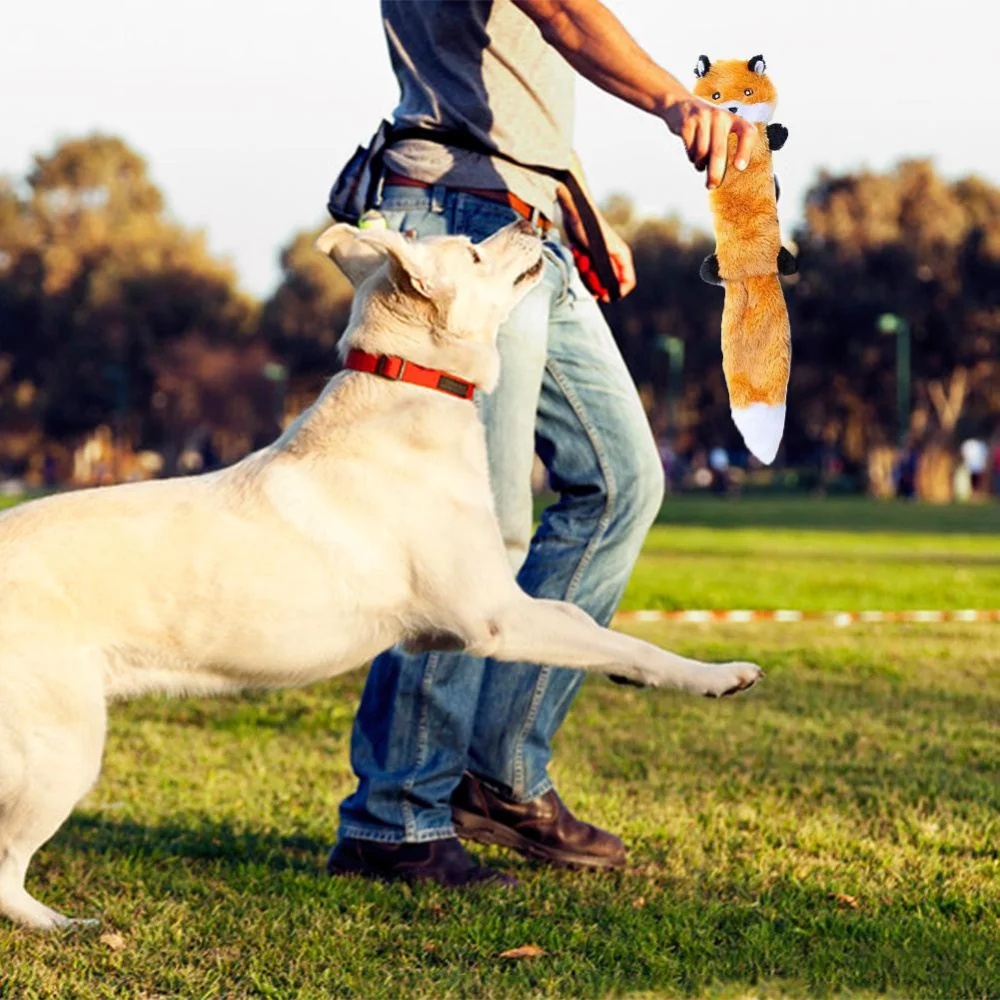 微信图片_20191029155628