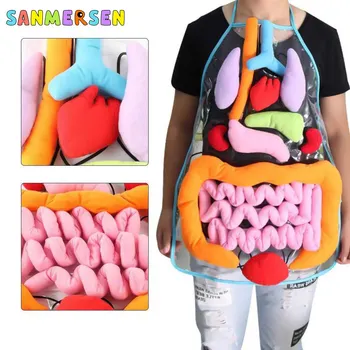 

Educational Insights Toys For Children Anatomy Apron Human Body Organs Awareness Preschool Science Home School Teaching Aids