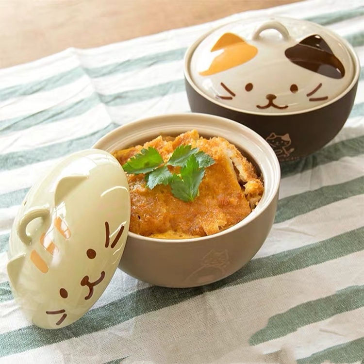 Cat Rice and Noodle Bowl