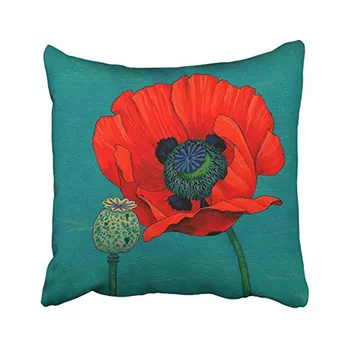 

Throw Pillow Cases Covers My Honey Orange Red Poppy Flower And Pod In Teal 18x18 Inches Two Sided