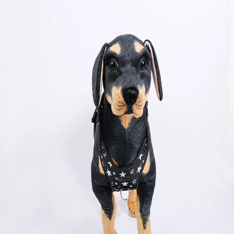 7551833504_936468010