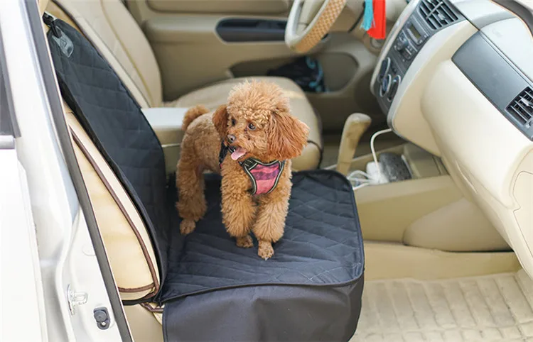 10324188259_936468010